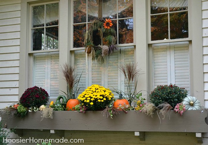 How to Decorate Fall Window Boxes Tips for Stunning Autumn Displays