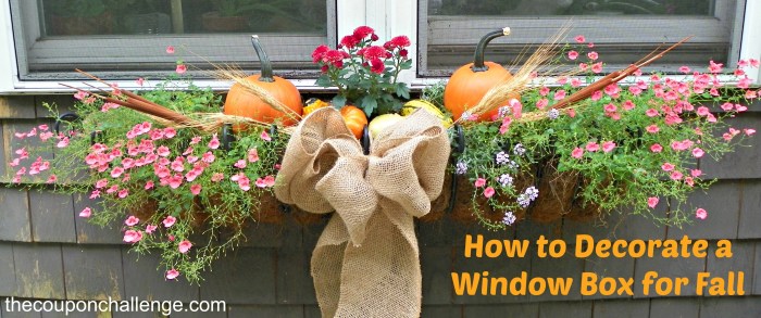 How to decorate fall window boxes