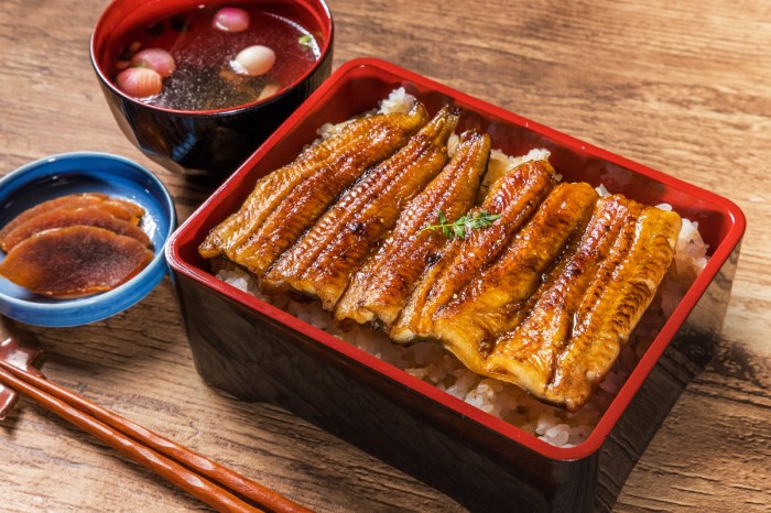 How to cook eel japanese style